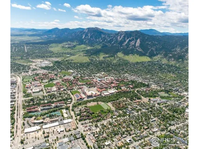 a view of a forest with mountains in the background