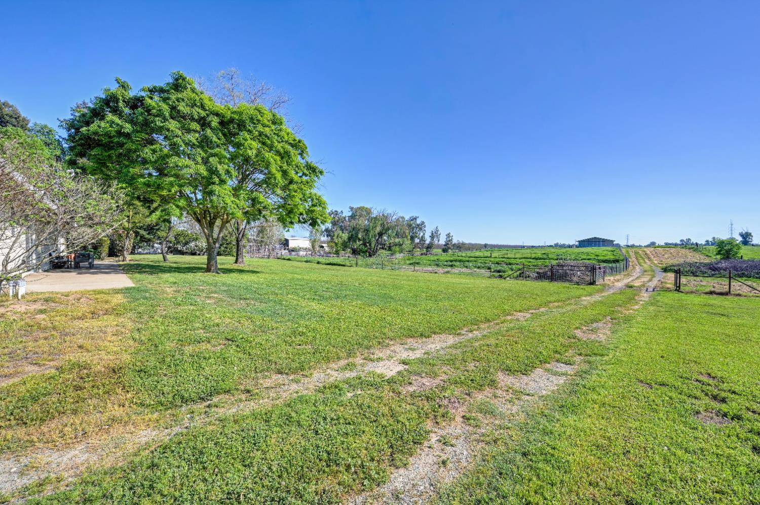 12260 Angle Road Herald, CA 95638 - Photo 35 of 43 a view of a field with grass and trees