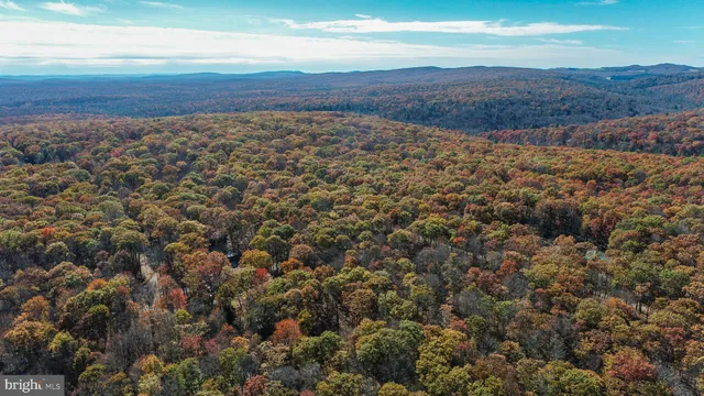 a white house that has a tree in front of it