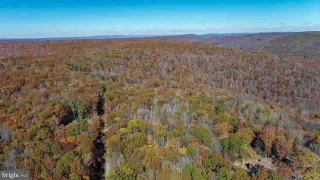 a view of a city with lush green forest