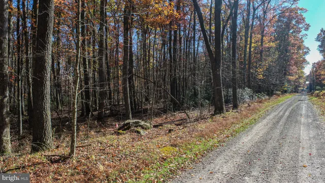 a view of a backyard with a trees