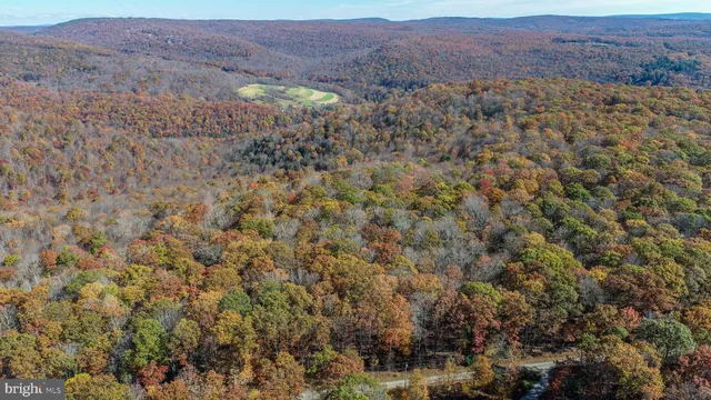 a view of mountain and tree