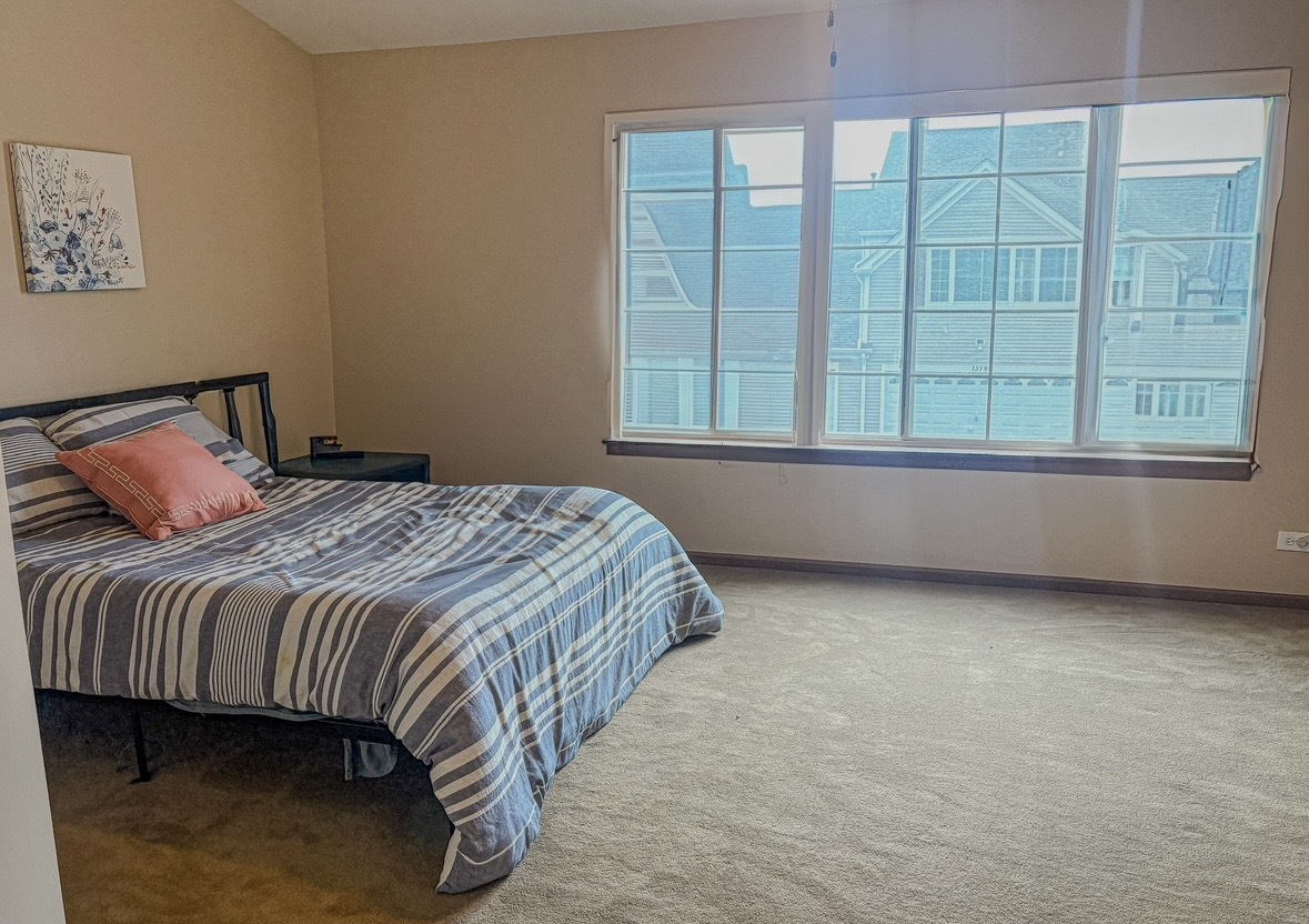1567 Spaulding Road Bartlett, IL 60103 - Photo 6 of 11
