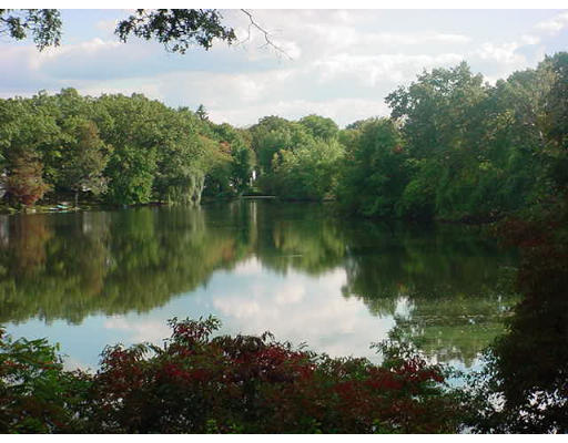 191 Overlook Drive Springfield, MA 01118 - Photo 2 of 12 a view of lake with green space