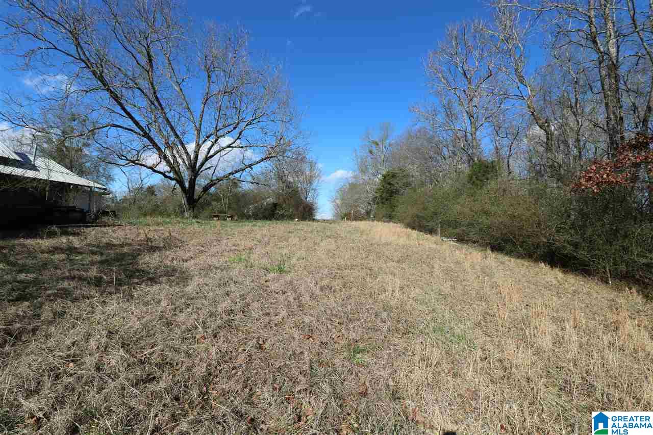 39 Peters Road Talladega, AL 35160 - Photo 18 of 18