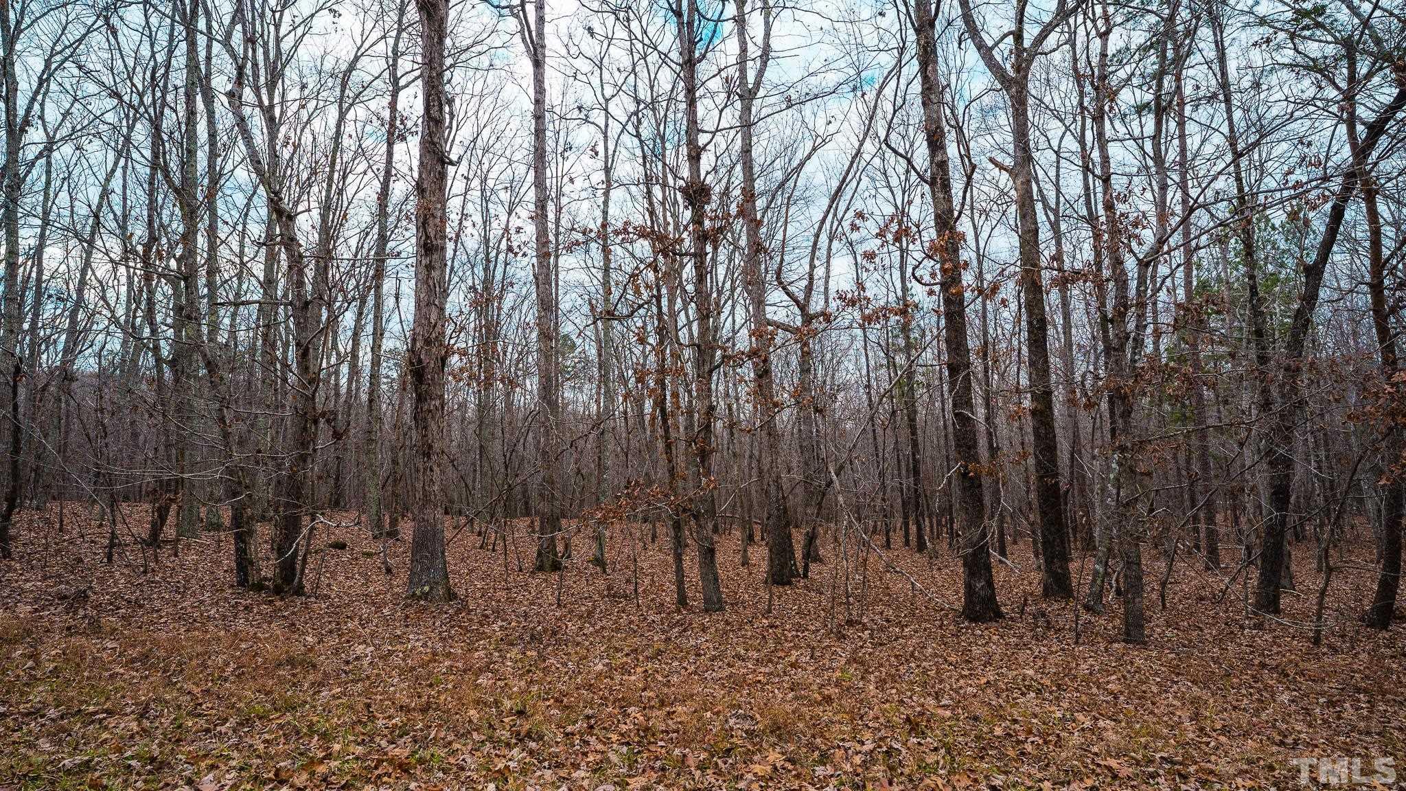 Lot 27 Firetower Road Rougemont, NC 27572 - Photo 2 of 9 a view of a forest