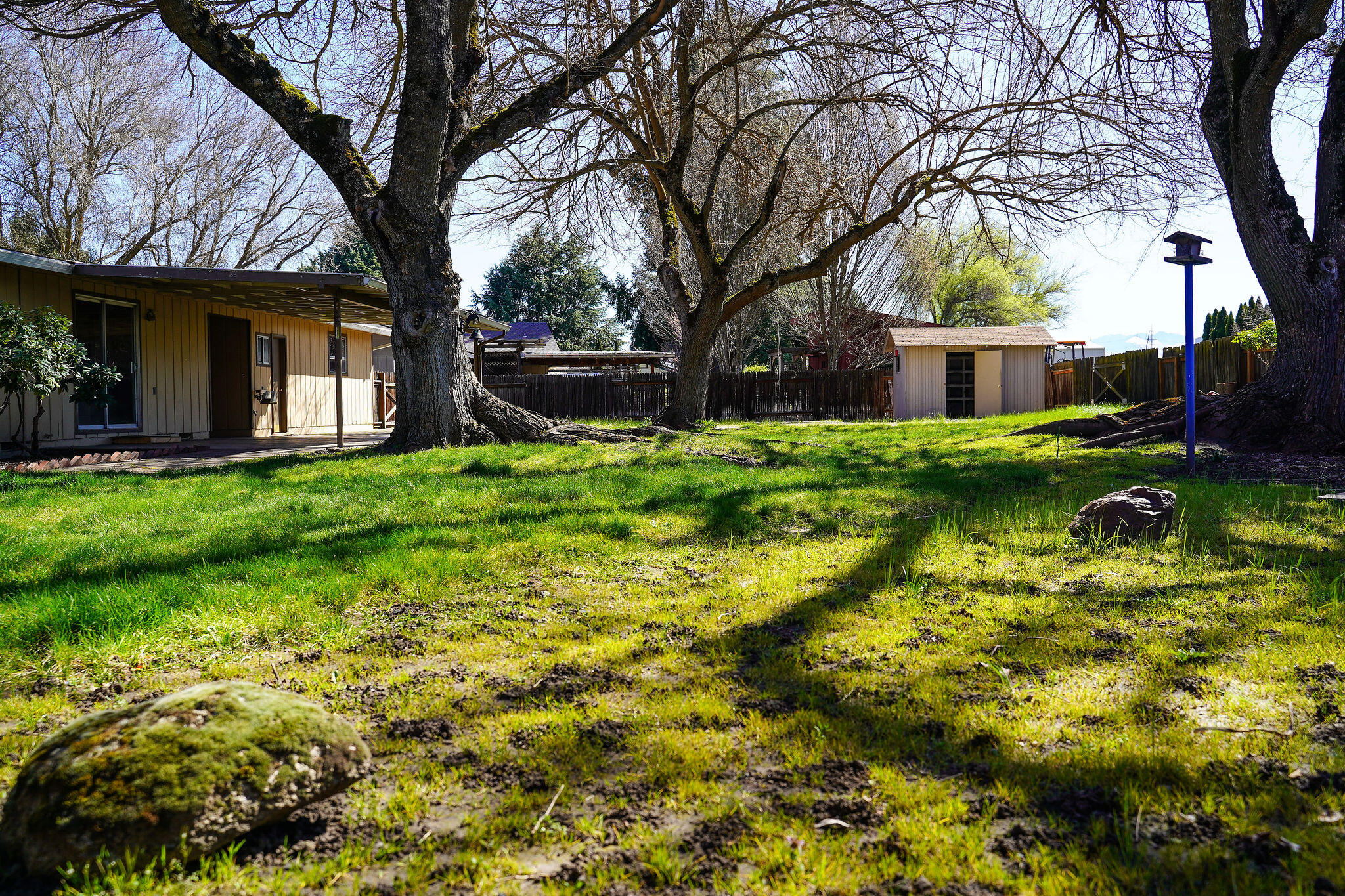 920 South 4th Street Central Point, OR 97502 - Photo 8 of 31 DSC01384