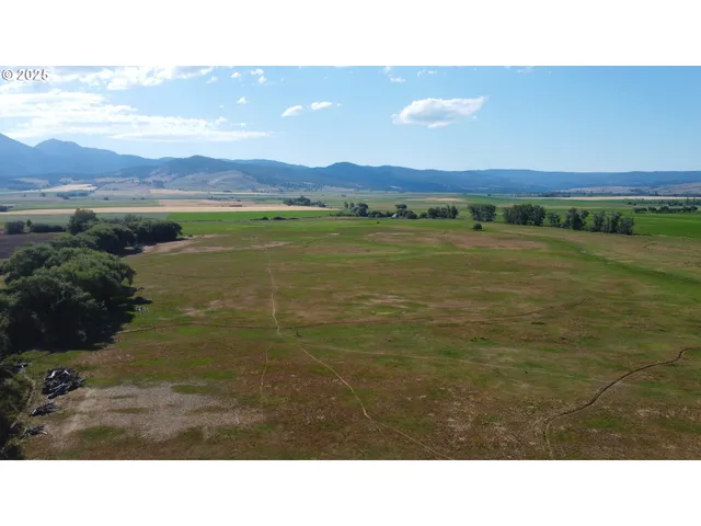 $950,000 | 0 Anthony Lakes Highway, Haines, OR 97833