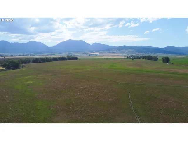 $950,000 | 0 Anthony Lakes Highway, Haines, OR 97833