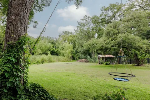 a view of a garden with a tree