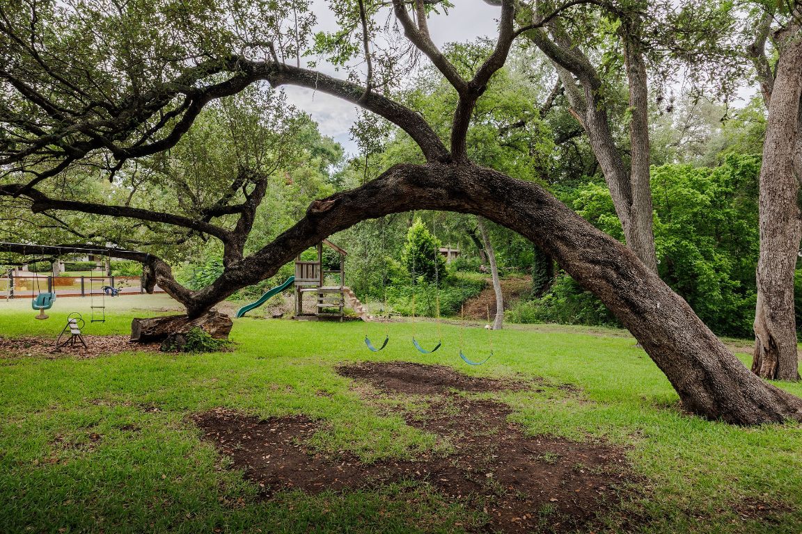 4201 Gregg Ward Lane Austin, TX 78744 - Photo 28 of 40 a view of a garden with a tree