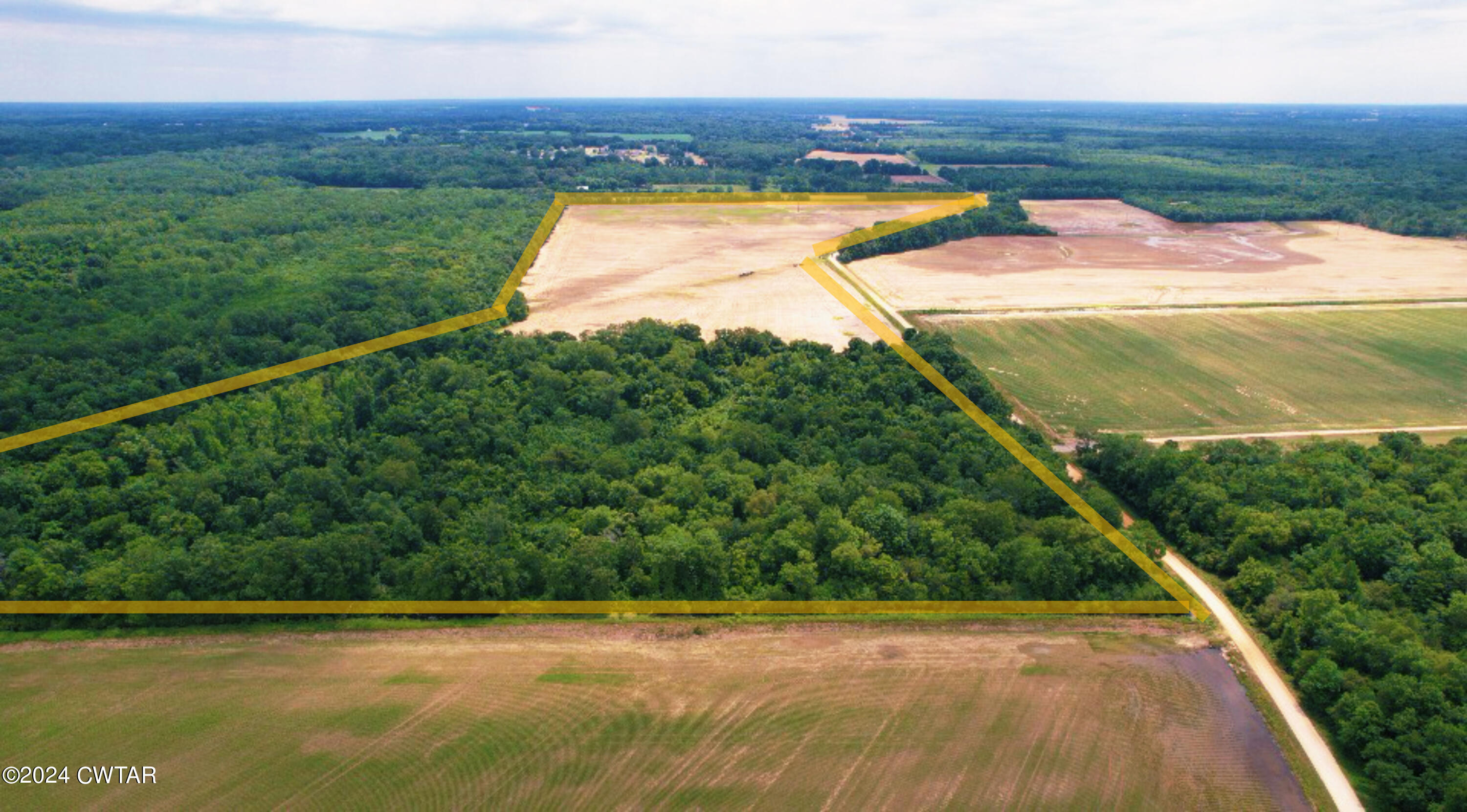 0 Slaughter Pen Road Dyersburg, TN 38024 - Photo 3 of 7 a view of a yard with a lake view
