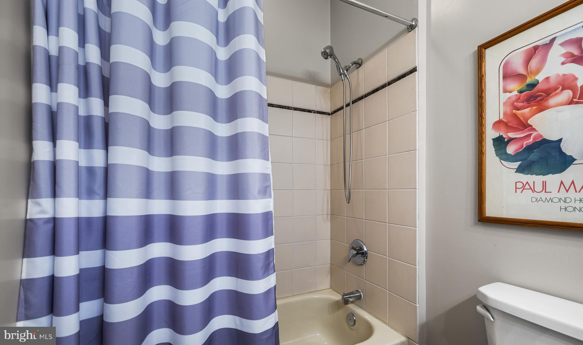 11822 Ivy Mill Road Reisterstown, MD 21136 - Photo 25 of 72 Full Bath ( main level )
