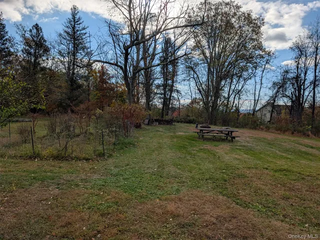 a view of a park with large trees