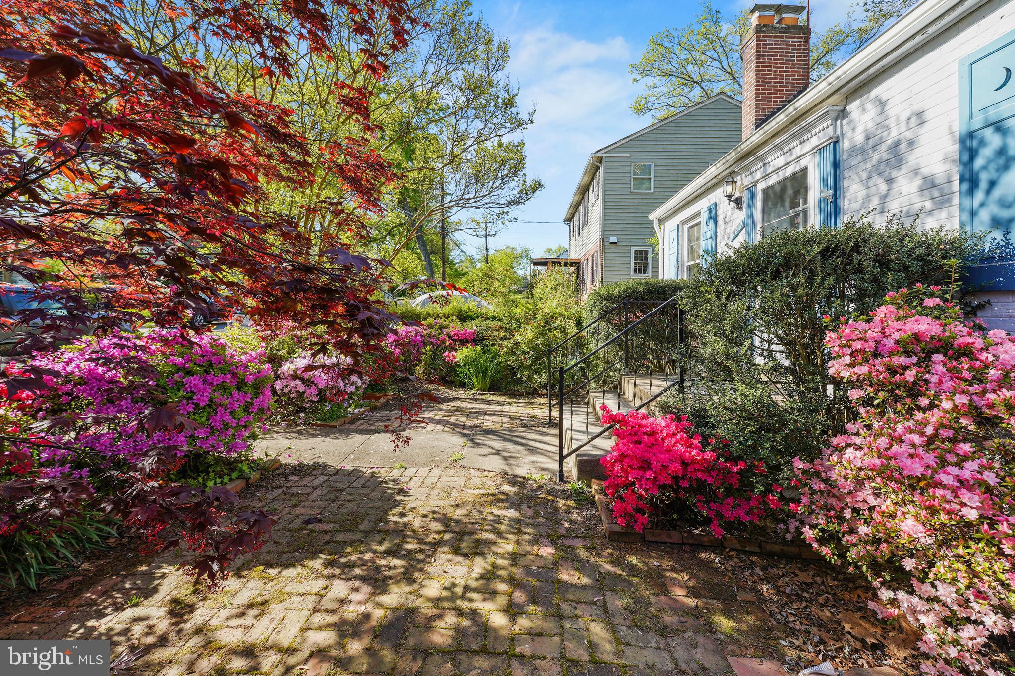10210 Procter Street Silver Spring, MD 20901 - Photo 2 of 42