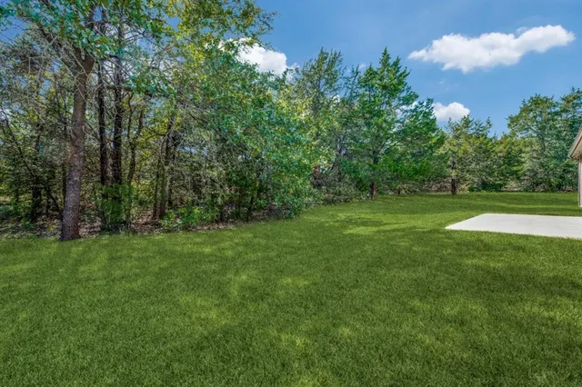 a view of a grassy field with trees in the background