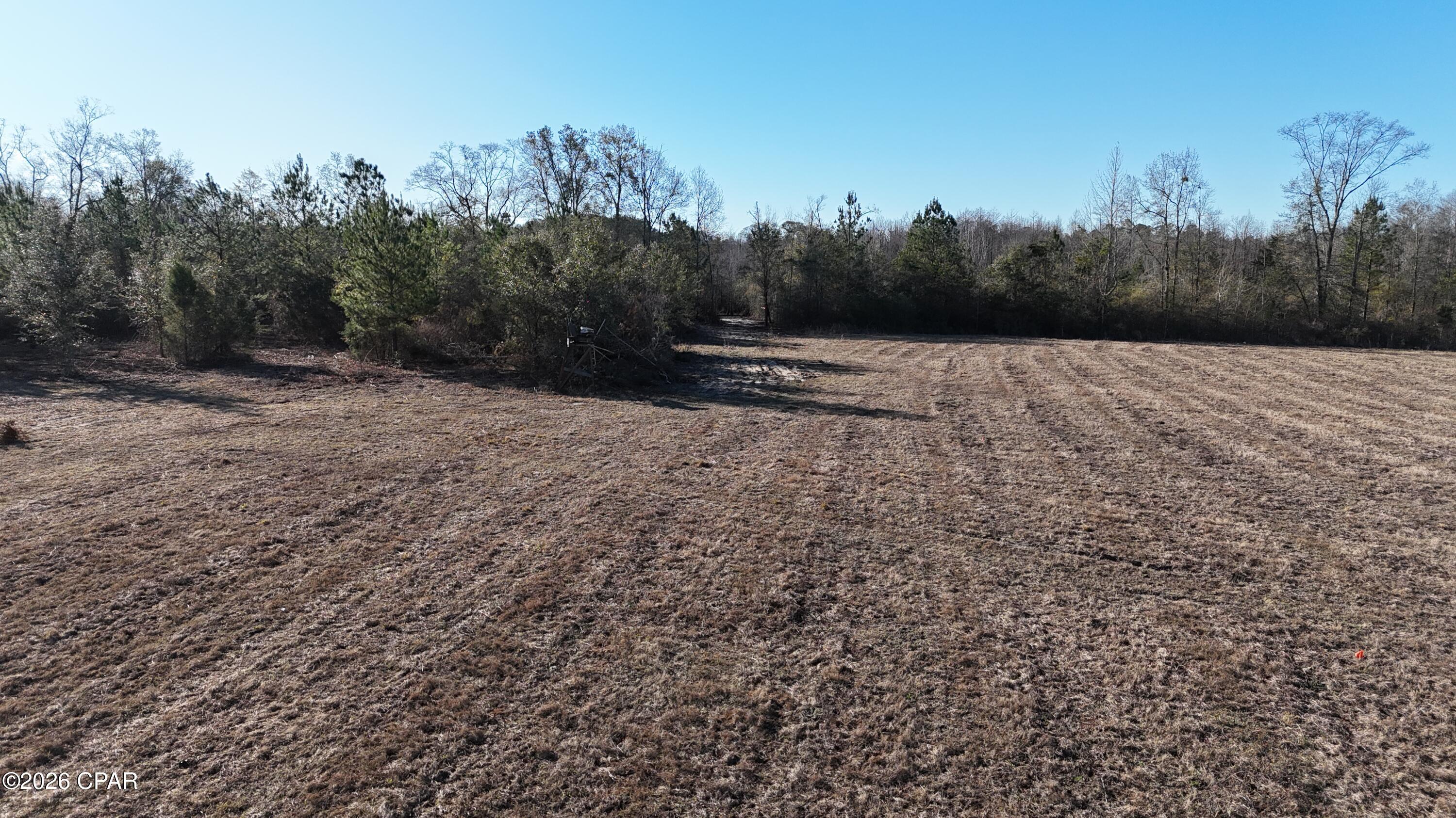 3120 Mount Olive Road Bonifay, FL 32425 - Photo 9 of 11