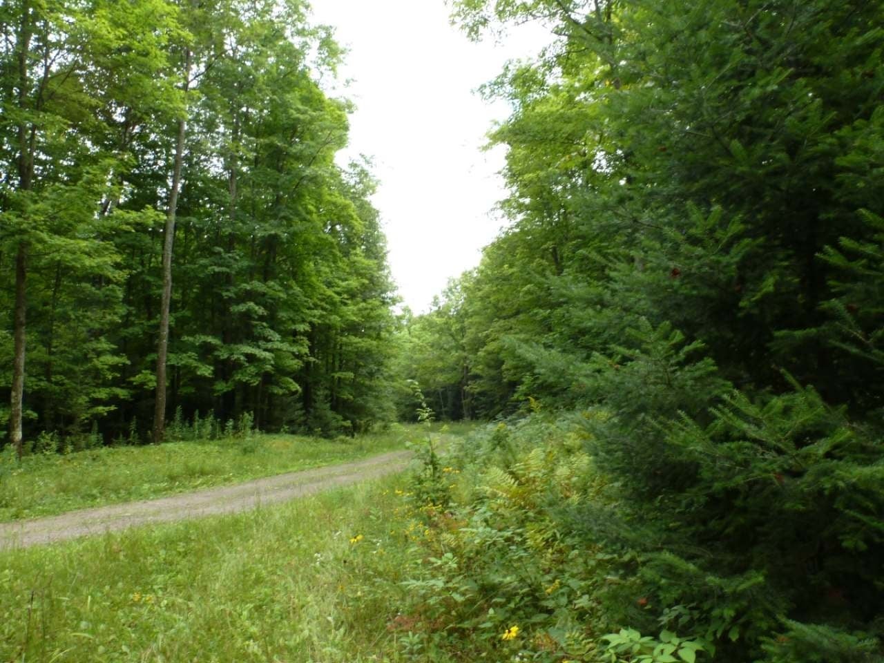 17 Gleason Wi 54501 Rhinelander, WI 54501 - Photo 2 of 7 Gallery Image 2