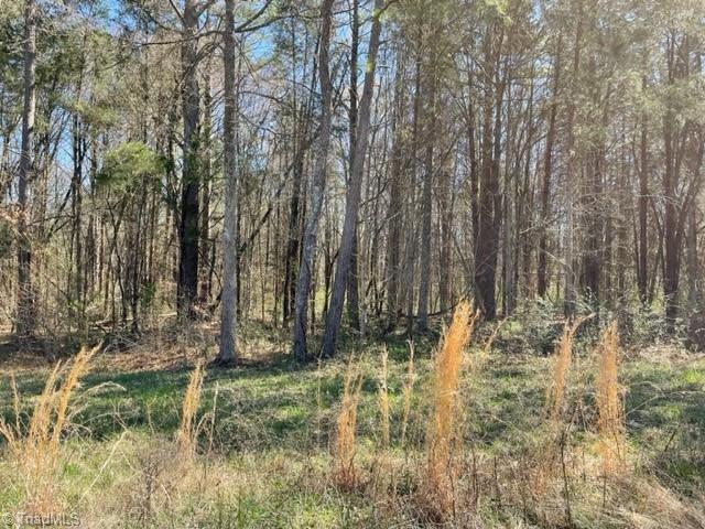 2210 Belmont Road Linwood, NC 27299 - Photo 4 of 4 Gallery Image 4