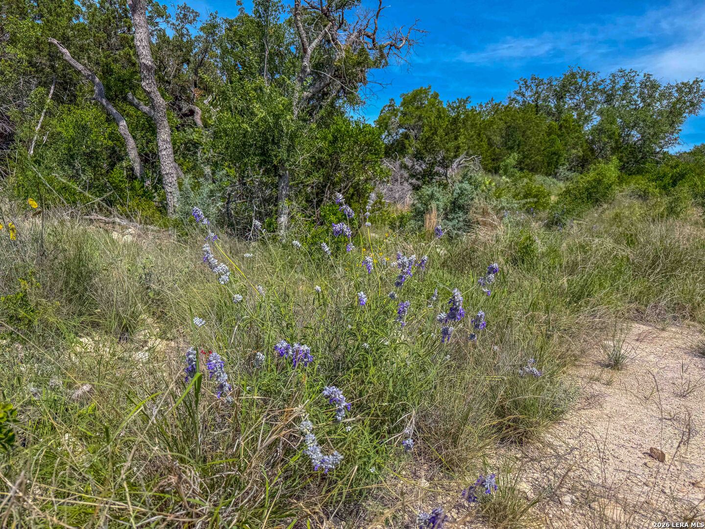 0 South Sd 45425 Rocksprings, TX 78880 - Photo 23 of 29
