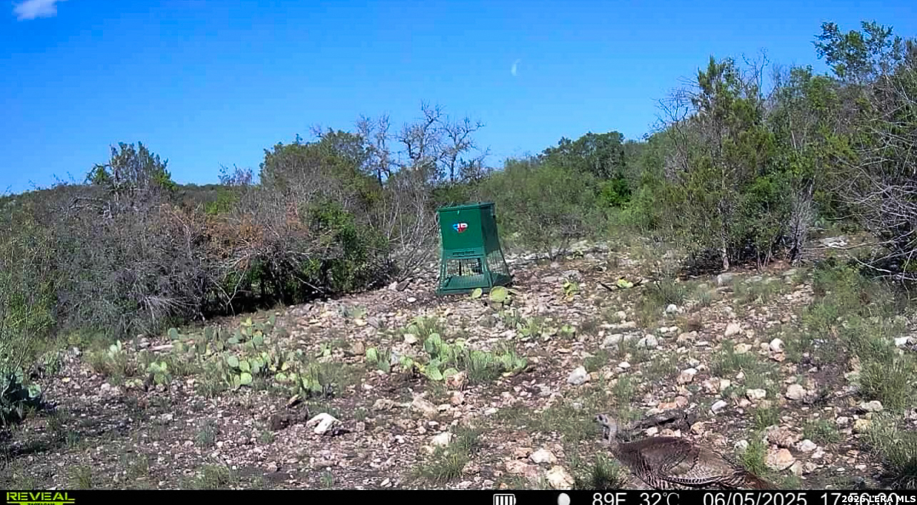 0 South Sd 45425 Rocksprings, TX 78880 - Photo 24 of 29