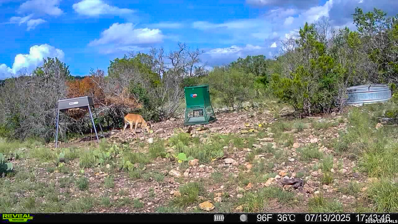 0 South Sd 45425 Rocksprings, TX 78880 - Photo 25 of 29