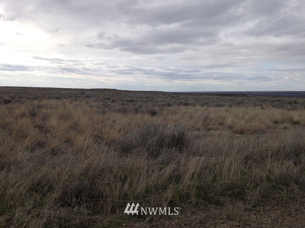 0 Lauer Road North Odessa, WA 99159 - Photo 1 of 2