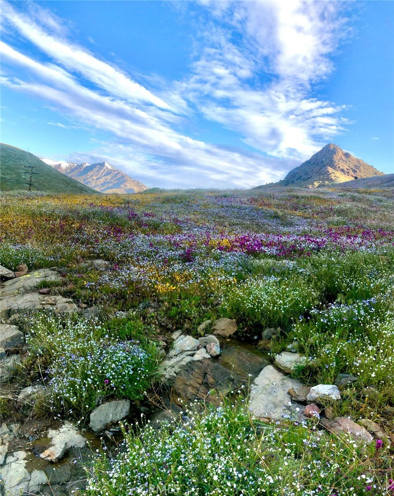 3712 Piute Hill Road Lake Isabella, CA 93240 - Photo 45 of 57