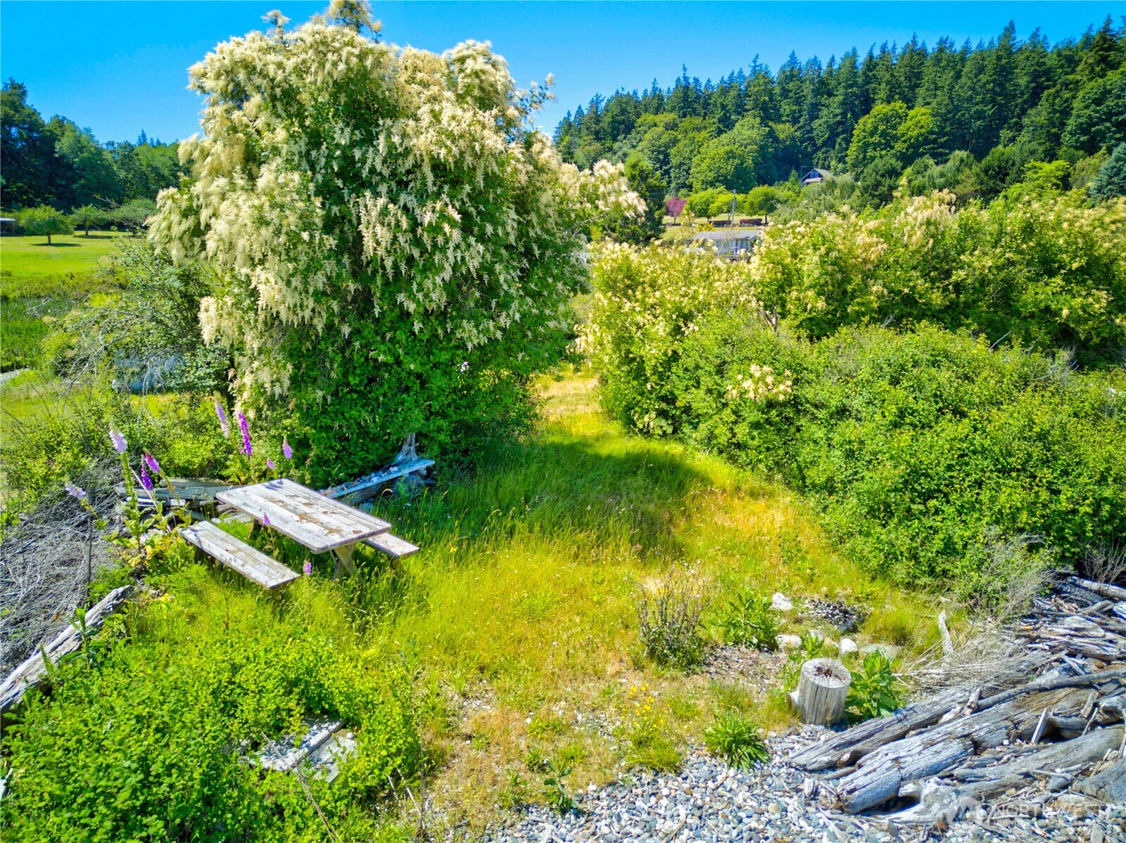 6291 Seaway Hollow Road Anacortes, WA 98221 - Photo 4 of 23