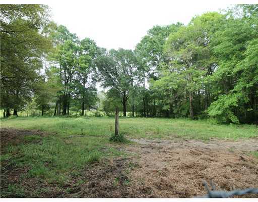 1174 Grain Elevator Road Lucedale, MS 39452 - Photo 23 of 25 Additional Photo