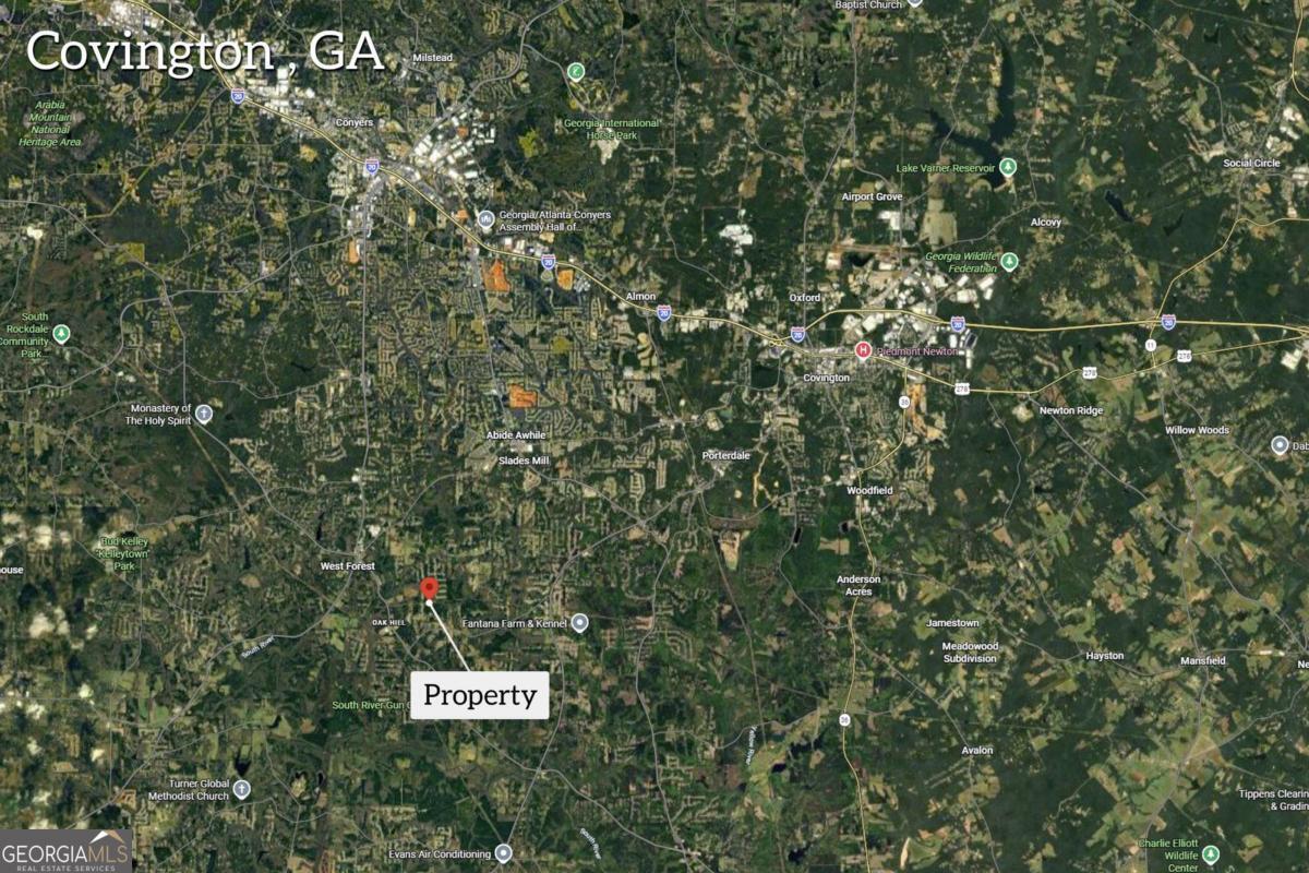 0 Richard's Chapel Road Covington, GA 30016 - Photo 13 of 13