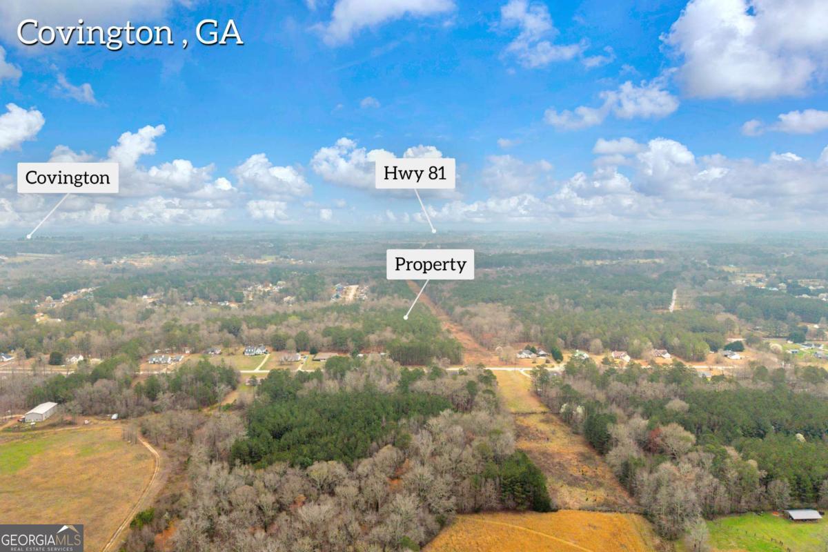 0 Richard's Chapel Road Covington, GA 30016 - Photo 3 of 13