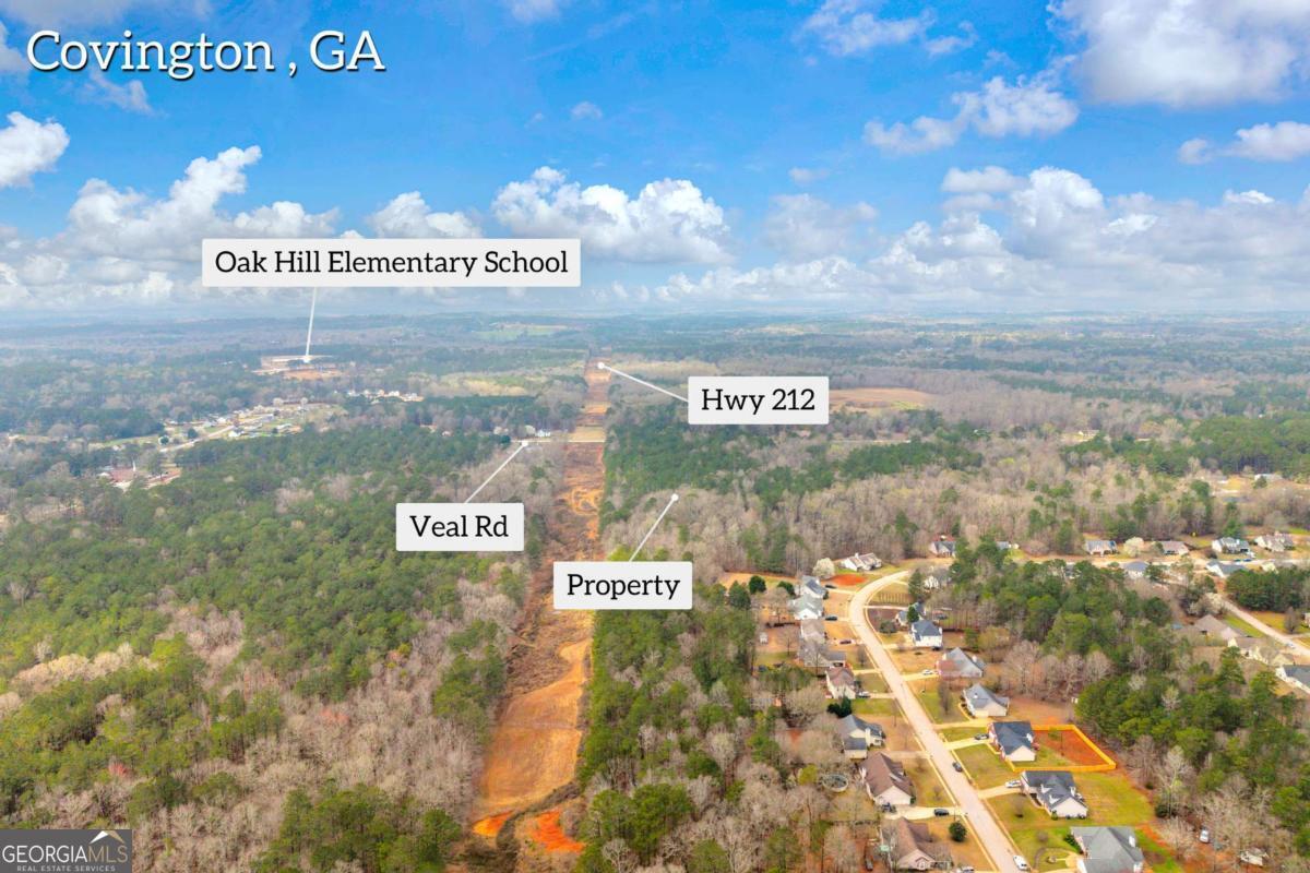 0 Richard's Chapel Road Covington, GA 30016 - Photo 5 of 13