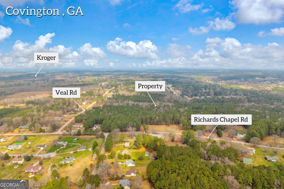 0 Richard's Chapel Road Covington, GA 30016 - Photo 6 of 13