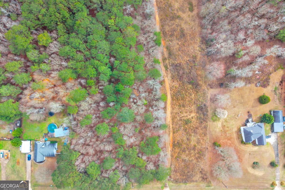 0 Richard's Chapel Road Covington, GA 30016 - Photo 7 of 13