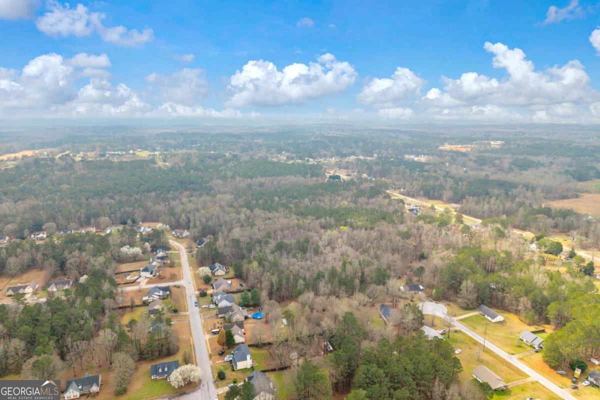 0 Richard's Chapel Road Covington, GA 30016 - Photo 9 of 13