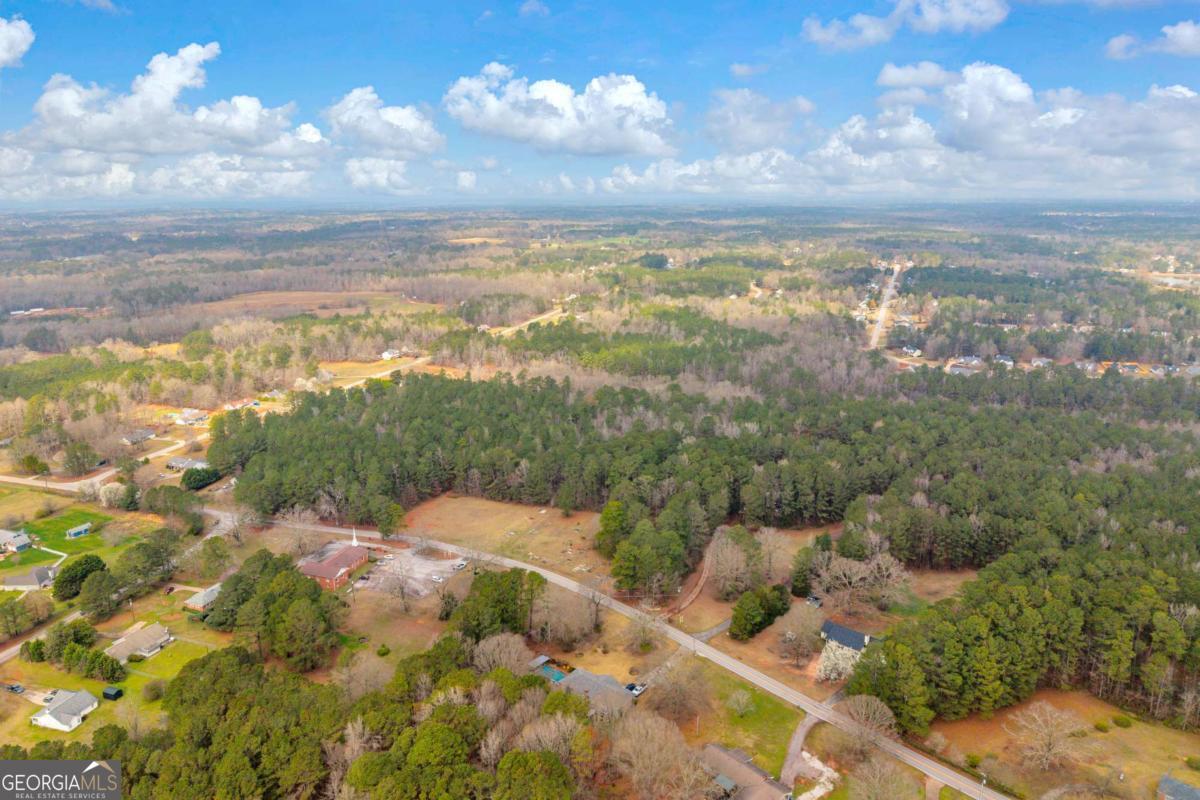 0 Richard's Chapel Road Covington, GA 30016 - Photo 10 of 13