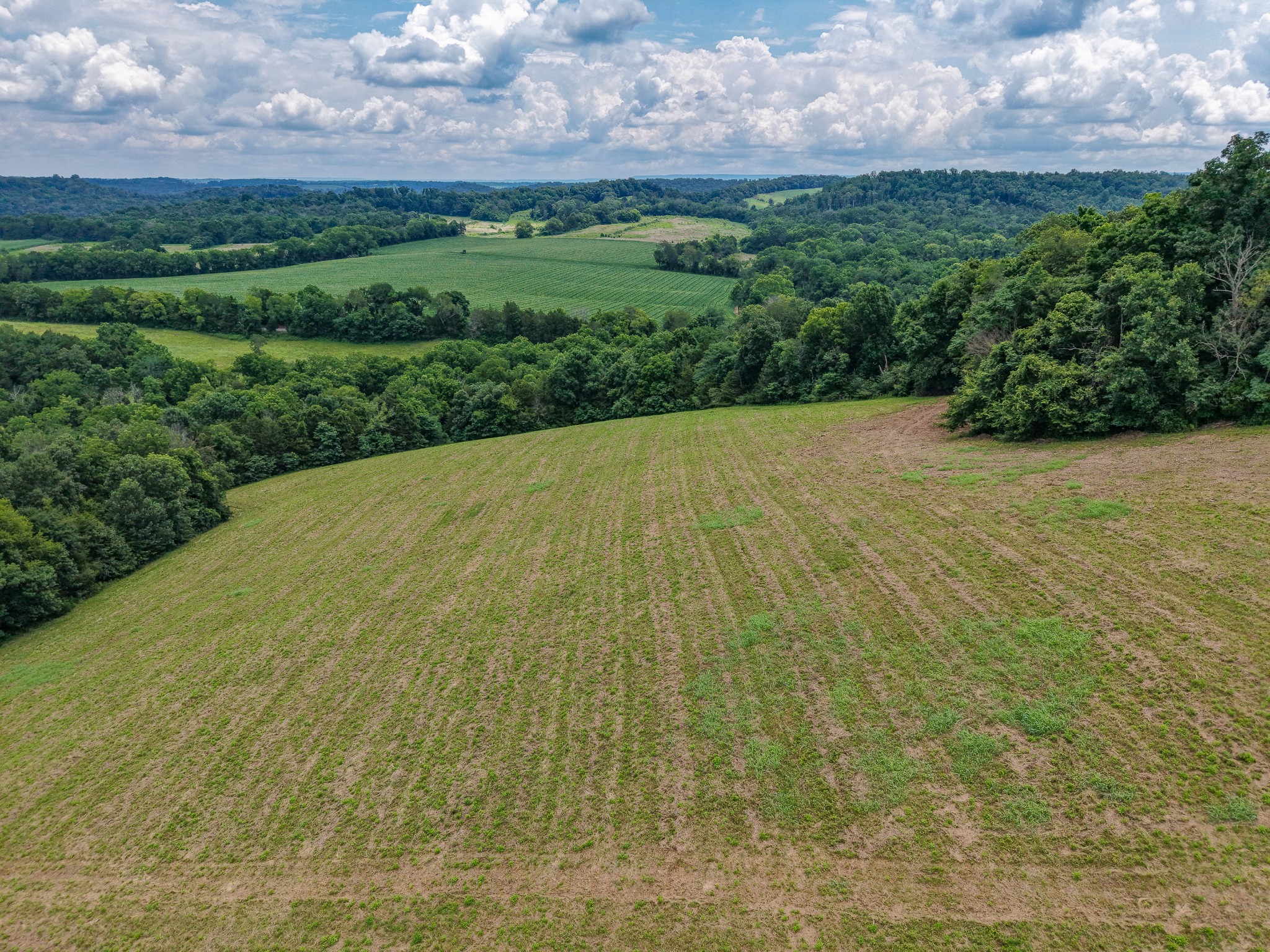 0 Smithland Road Kelso, TN 37348 - Photo 14 of 17
