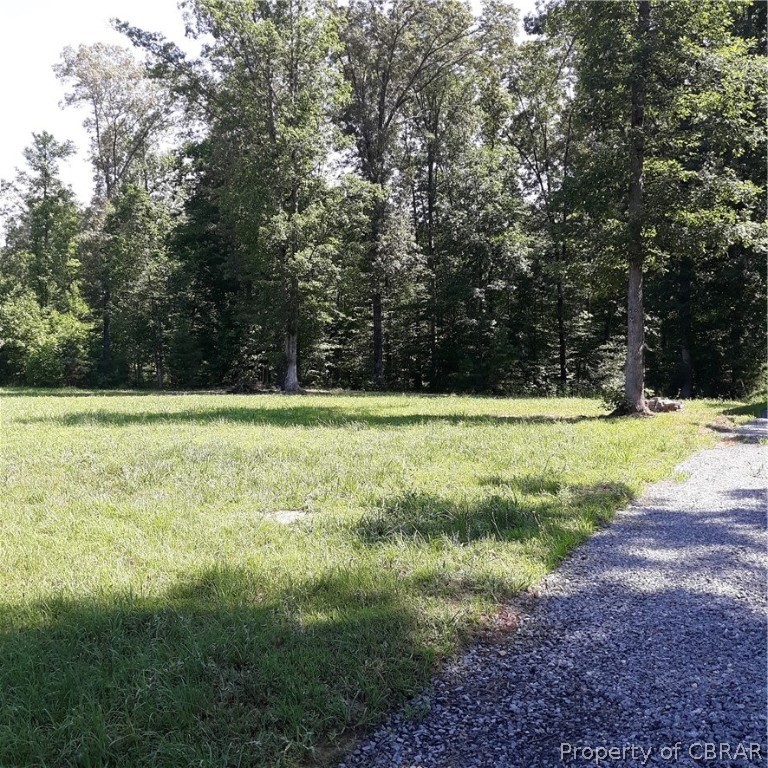 0 Deer Park Road Champlain, VA 22438 - Photo 2 of 9
