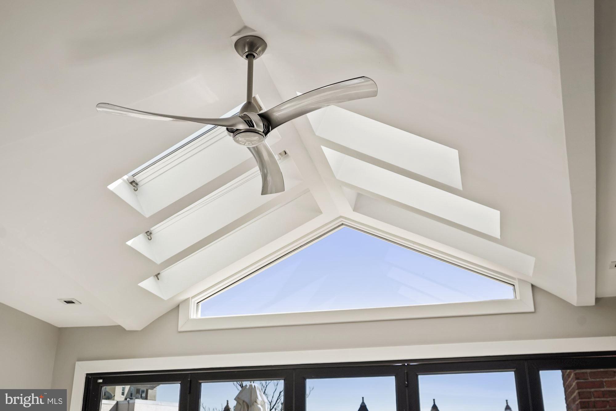 1906 Biltmore Street Northwest, Unit 3 Washington, DC 20009 - Photo 38 of 54 Skylights