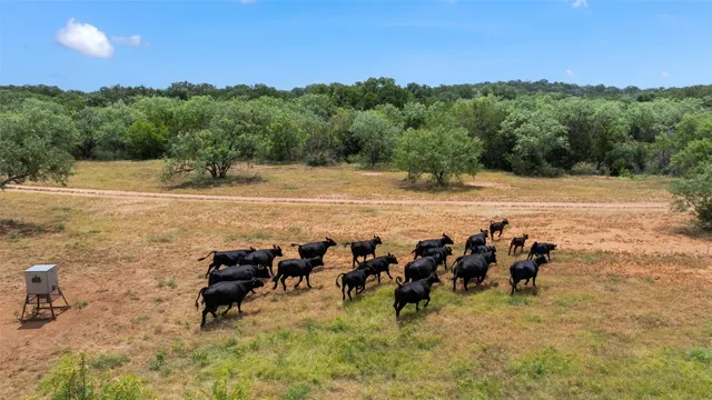 $39,900,000 | 24434 East Highway 71, Horseshoe Bay, TX 78657