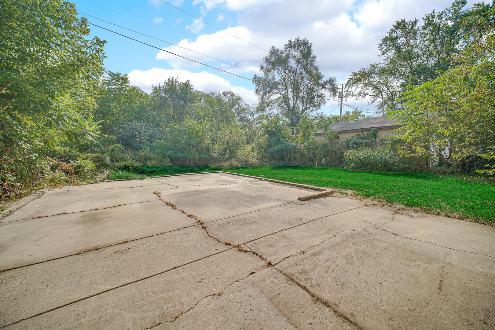 1159 Fayette Street Gary, IN 46403 - Photo 15 of 19 a view of a backyard with large trees