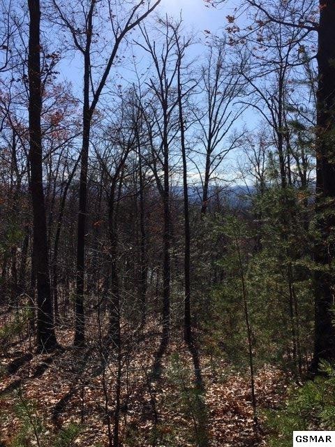 128 Bluff Mountain Road Sevierville, TN 37862 - Photo 1 of 6 Gallery Image 1
