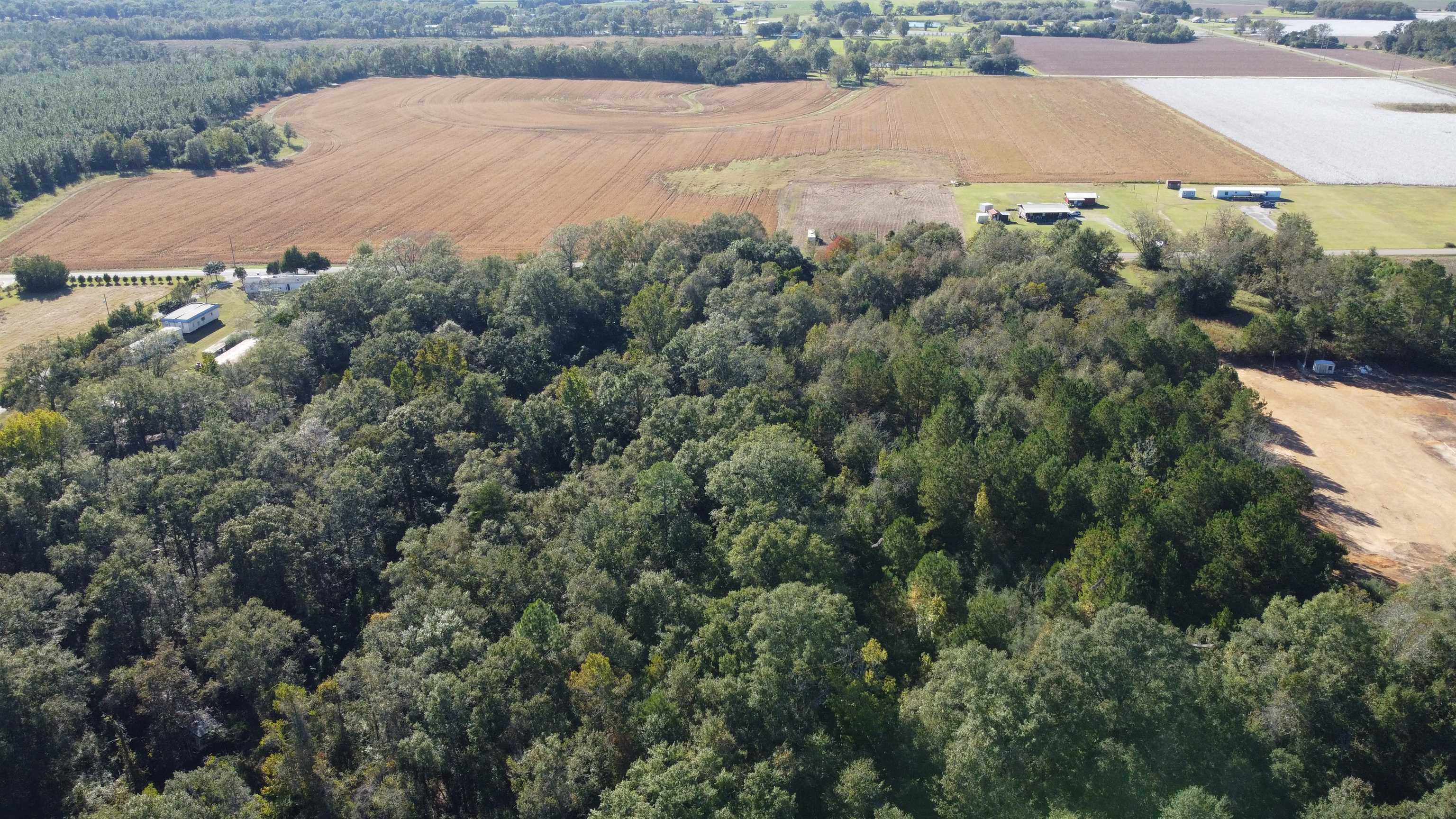 0 Cowpen Creek Road Atmore, AL 36502 - Photo 3 of 21