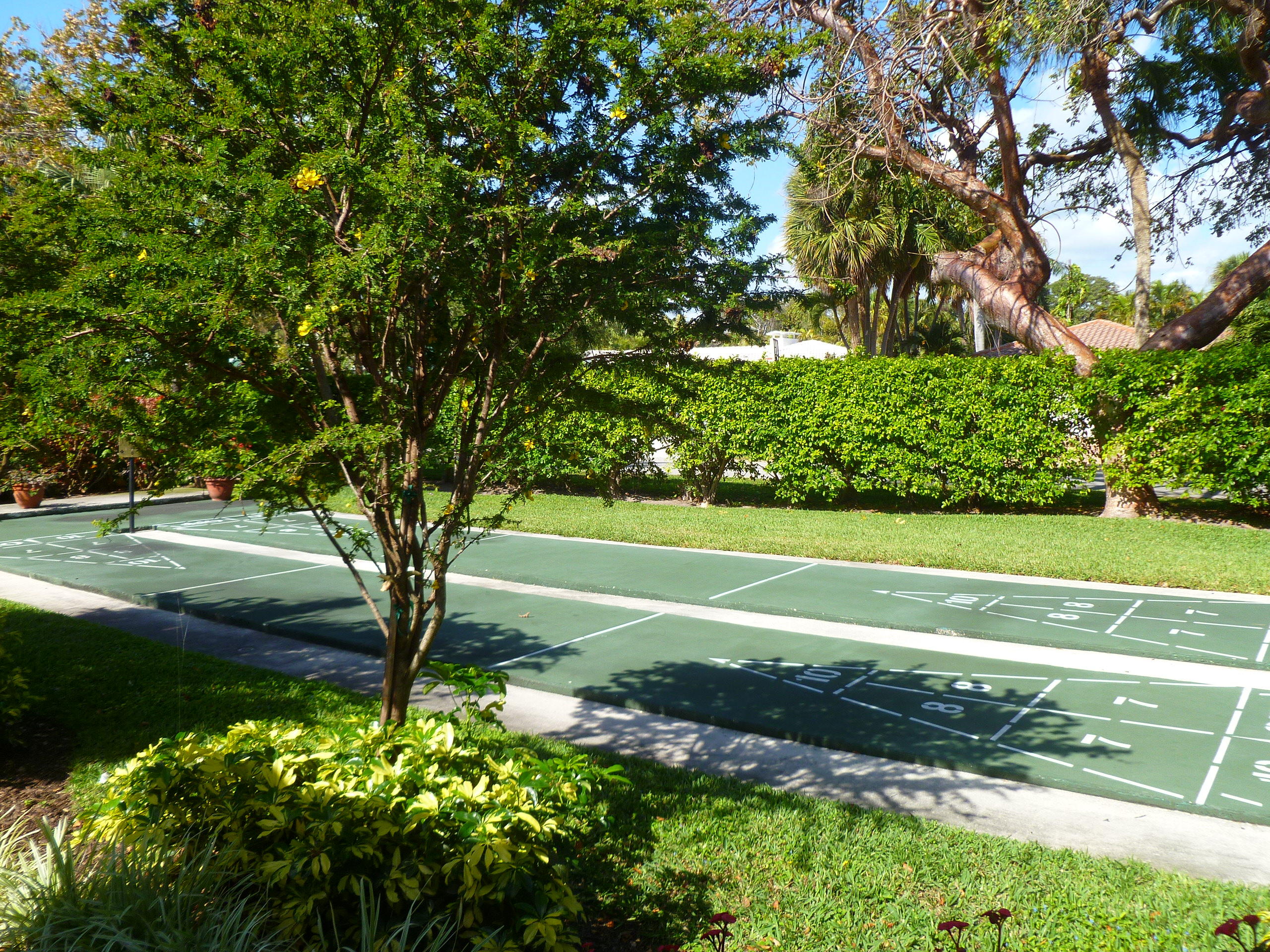 950 Ponce De Leon Road, Unit 104 Boca Raton, FL 33432 - Photo 9 of 33 a view of a garden with a tree