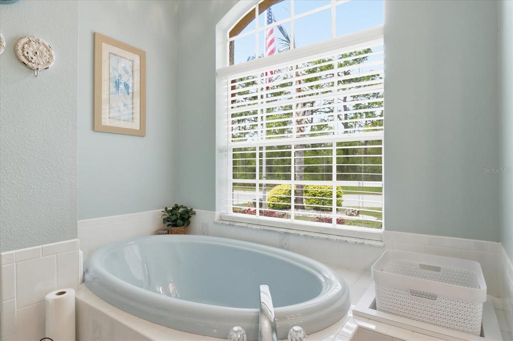 16 Calendula Court Homosassa, FL 34446 - Photo 30 of 50 a white bath tub sitting next to a window