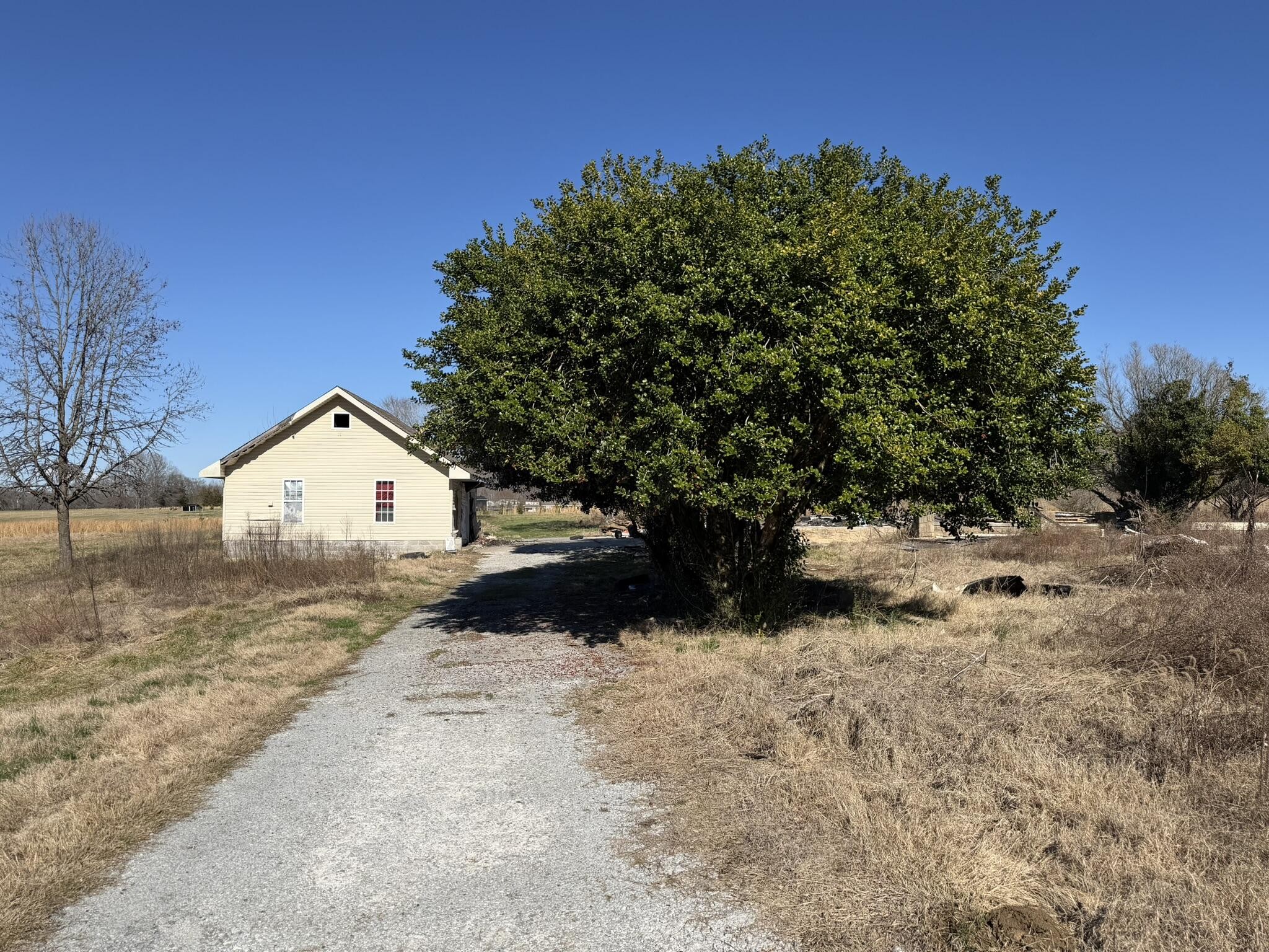 359 Clearwater Road Ten Mile, TN 37880 - Photo 1 of 3 a view of a large tree in front of a house