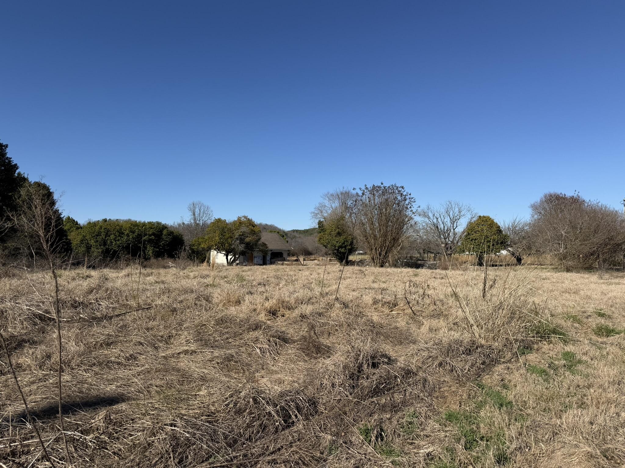 359 Clearwater Road Ten Mile, TN 37880 - Photo 2 of 3 a view of a dry yard with trees