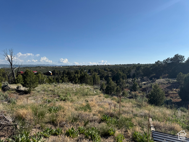 46205 Little Elk Road Fruitland, UT 84027 - Photo 18 of 24 View of nature- trails and 4 wheeler- bike paths and trimmed up trees- tree house
