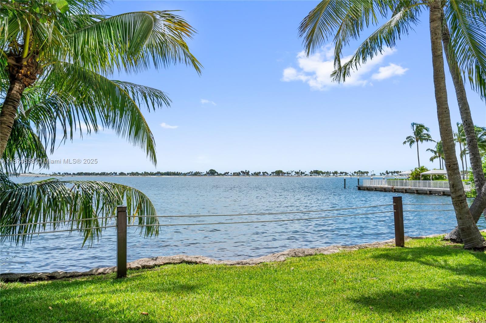 2025 Brickell Avenue, Unit 1705 Miami, FL 33129 - Photo 46 of 50 a view of a lake and palm trees